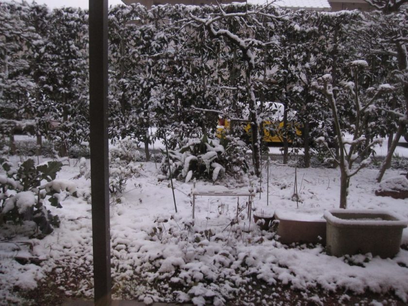 マジか！インフルエンザ！！