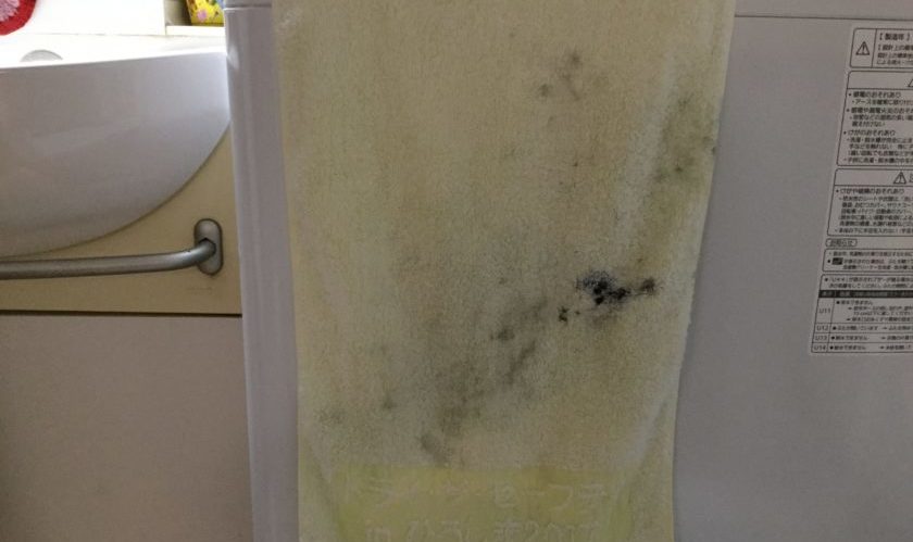 や、やられた！！（爆笑）