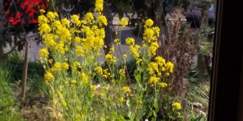 今日から新生活！！