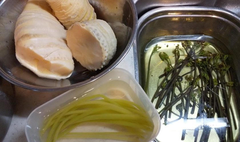 本当のシアワセってなんだろう？