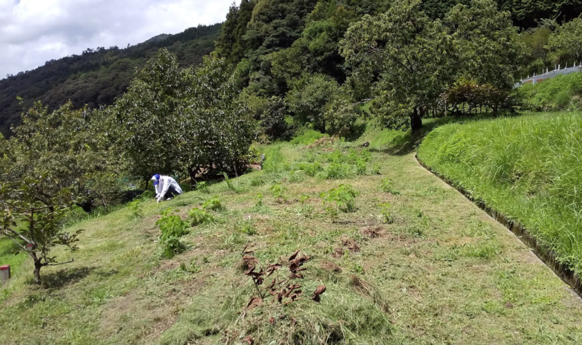 お盆に家族がそろうとできることは？