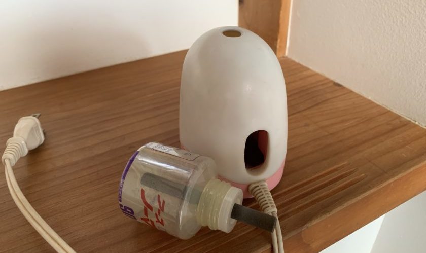 冬になっても飛ぶ蚊に、考えさせられること