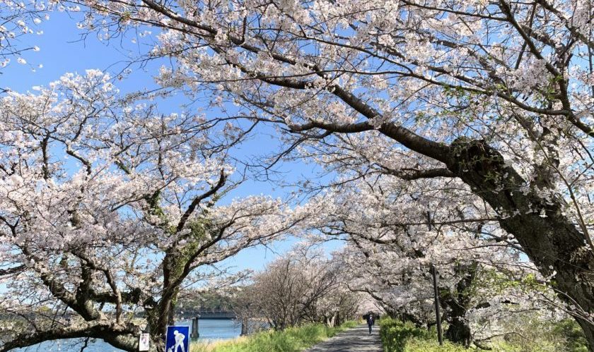 こんな時に肺炎に罹ってわかったこと（笑）