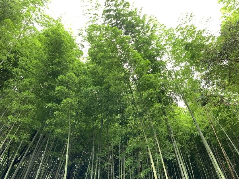私の幸せの源泉とは？
