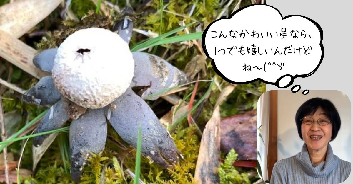 キタ～っ！Amazonレビューで「星１つ」！